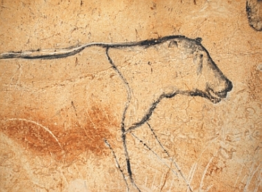 Grotte Chauvet, lionne