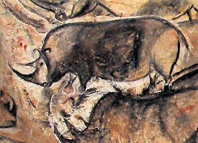 Grotte Chauvet, rhinocéros