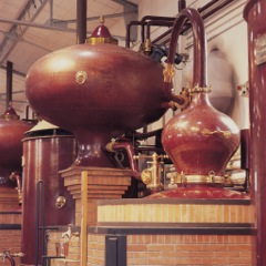 "La distillation du cognac se fait dans un alambic spécial dit "alambic à repasse"