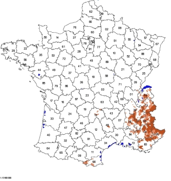 Répartition de la présence du loup en 2011