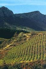 Le vignoble rivesaltais