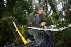 Eric Guilbert en sous-bois