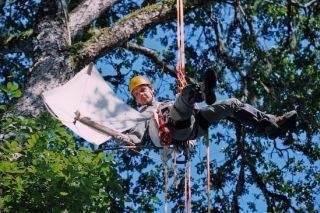 Eric Guilbert dans la canopée