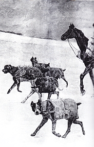 "Les Contrebandiers" et leurs chiens redoutables par Aline Billet