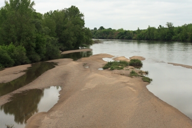 Le réseau « Mammifères du bassin de la Loire » est coordonné par l’Office national de la chasse et de la faune sauvage dans le cadre du Plan Loire Grandeur Nature.